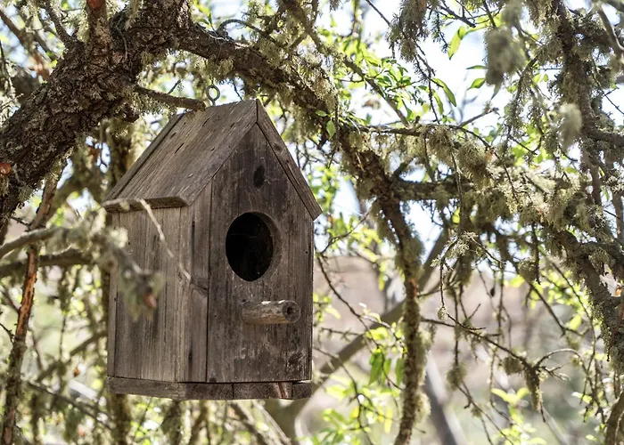 Holiday home Casa Karla Vilaflor